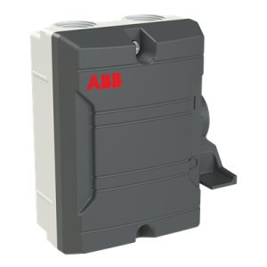 Saugos jungiklis BWS316TPN