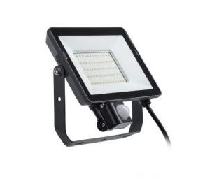 Lauko prožektorius su davikliu BVP008 20W 4000K  MDU IP65 Pila