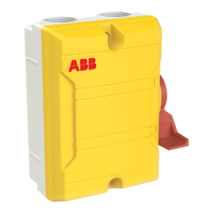 Saugos jungiklis BWS316YTPN